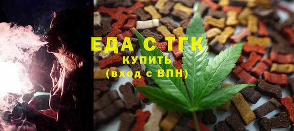 spice Богородицк