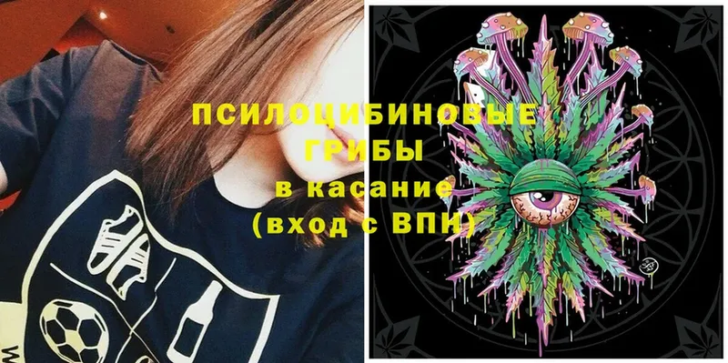 Галлюциногенные грибы MAGIC MUSHROOMS  купить  цена  Катав-Ивановск 